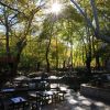 Dağılcak Picnic Area