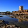 Suleiman Tower 